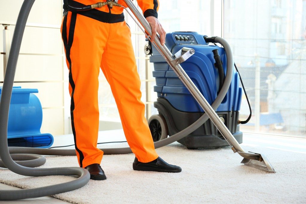 Professional carpet cleaner cleaning a carpet