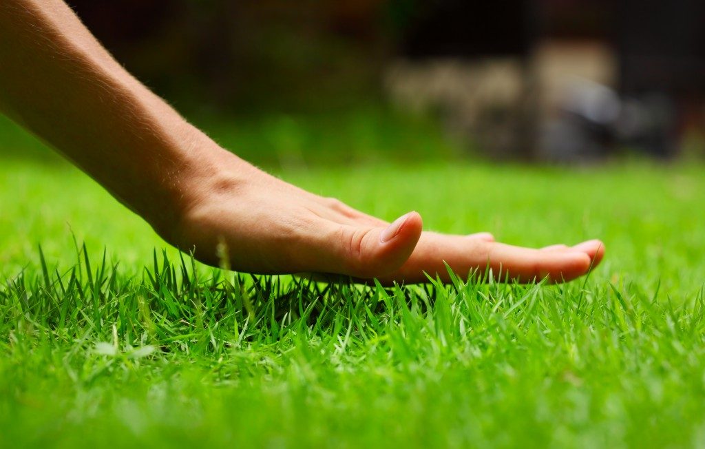 Hand above grass lawn