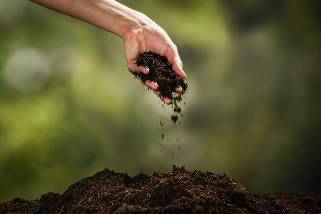 someone touching the soil