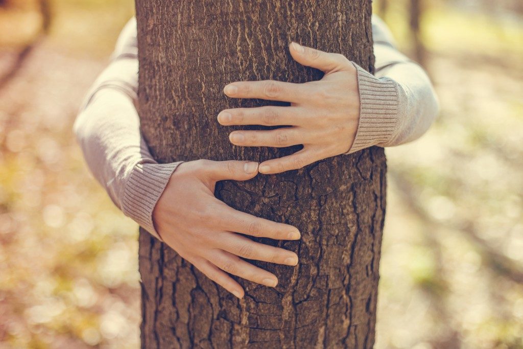 hugging a tree