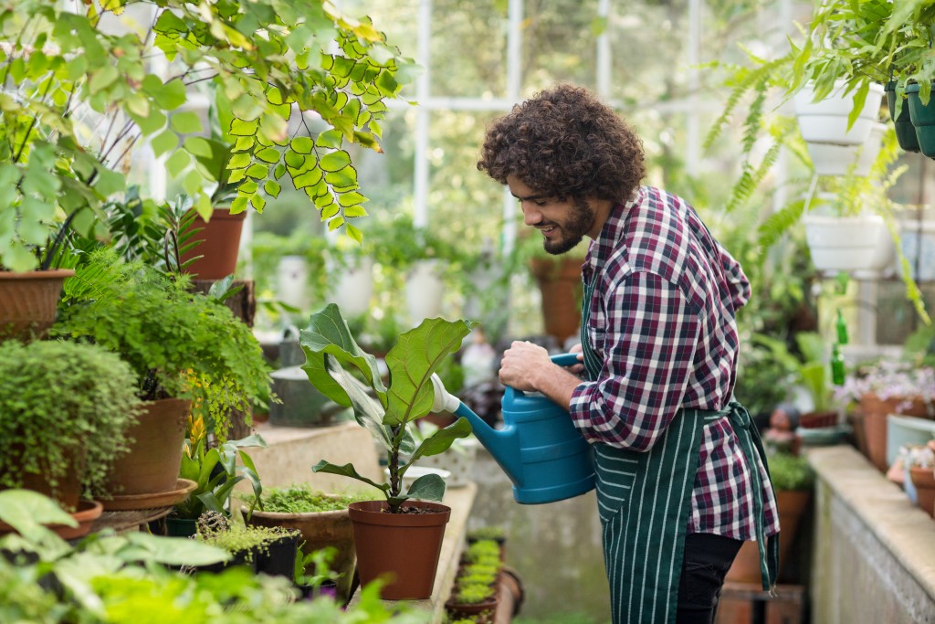 Man watering the plants in his greenhouse