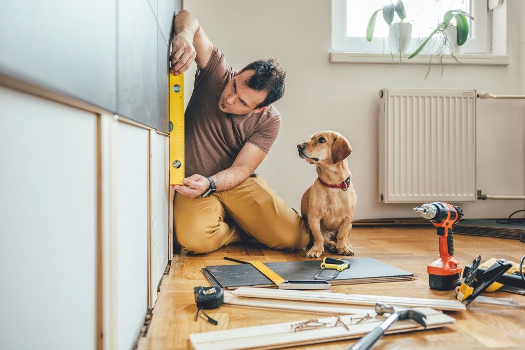 Man remodeling and constructing at home with his dog