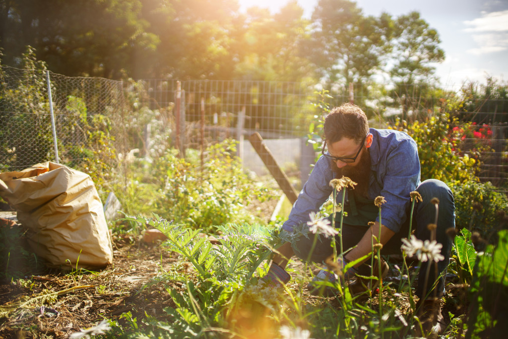 person gardening