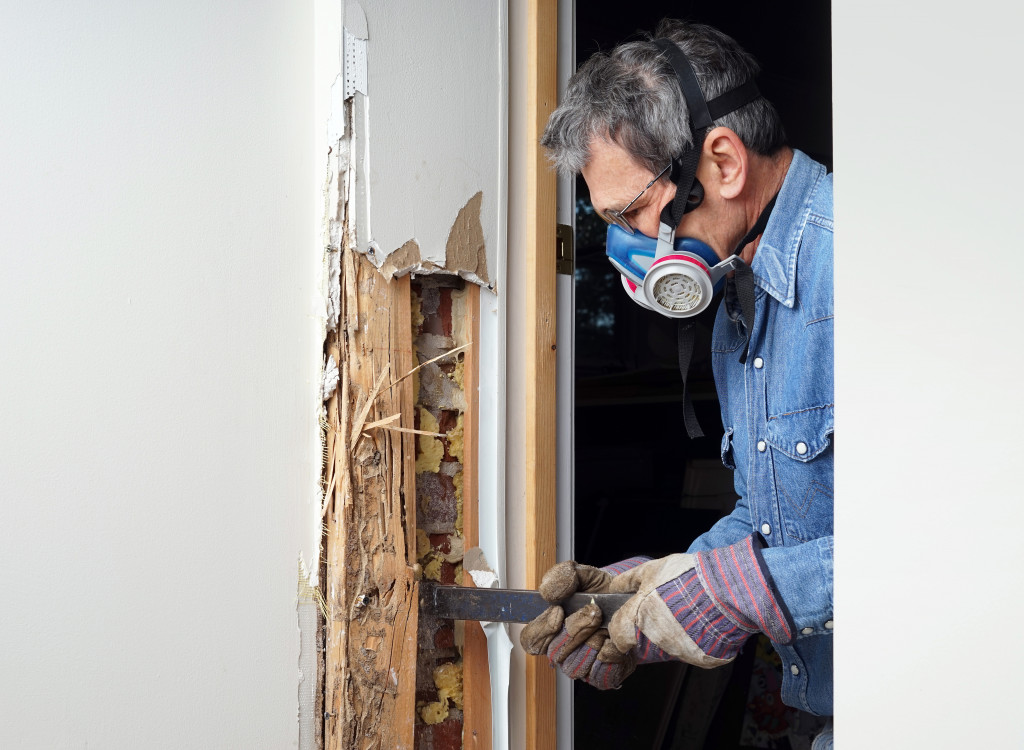 man removing termites