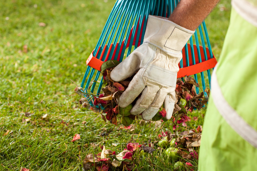 cleaning out the leaves